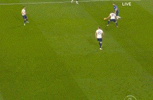 动画 (963).gif